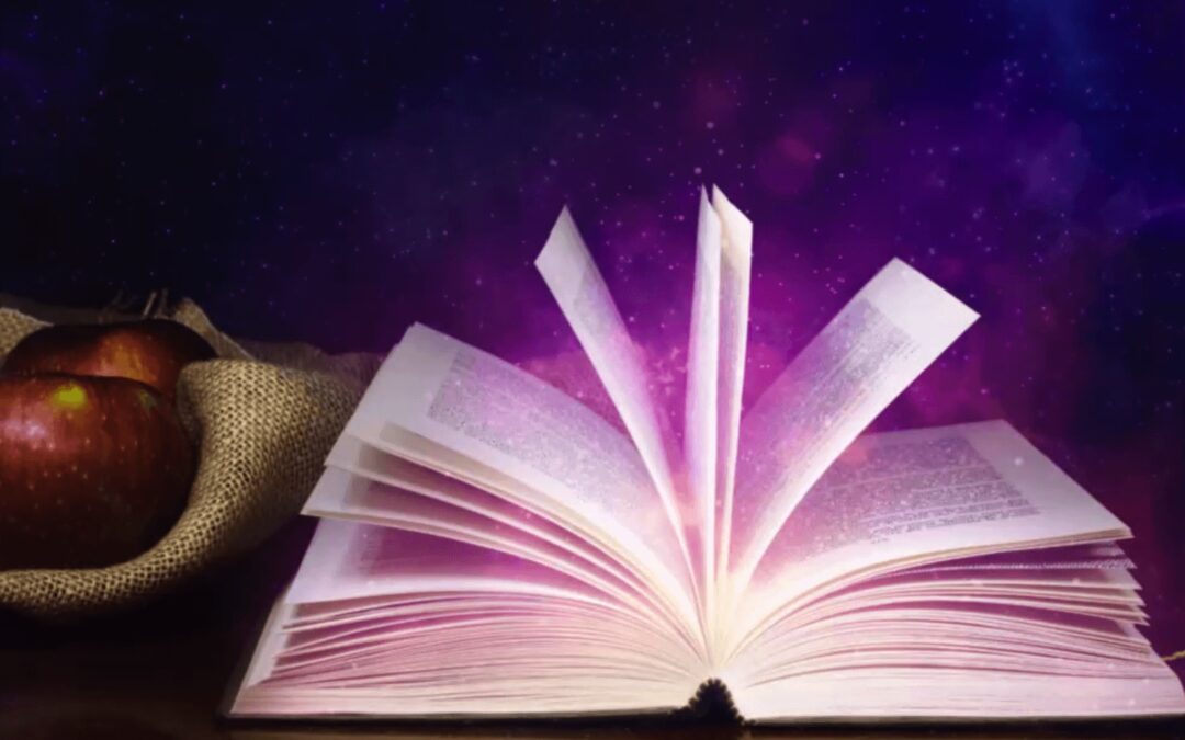 HOW READING SAVED MY LIFE AND WHY ANYONE SHOULD READ A BOOK