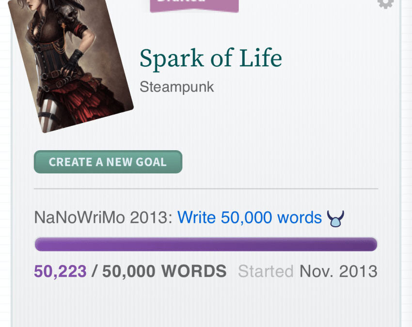 ACCIDENTAL NANOWRIMO